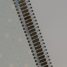 CASFL-2