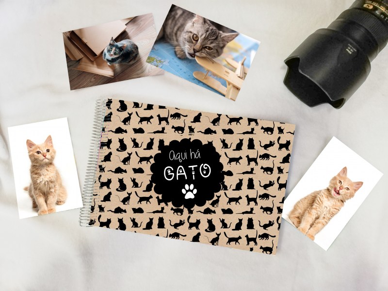 Gatos